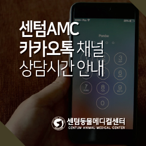  센텀동물메디컬센터 카카오톡 채널 상담시간 안내 (부산 전문진료 동물병원)