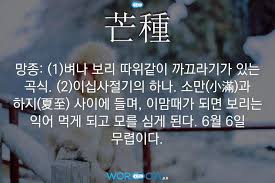 芒種(망종) 芒種(망종)