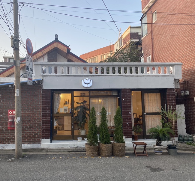  소장식물전 갬성 넘치는 카페