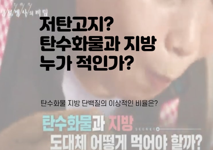  저탄고지? 탄수화물 - 지방, 다이어트 적은 무엇인가? 지중해식단?