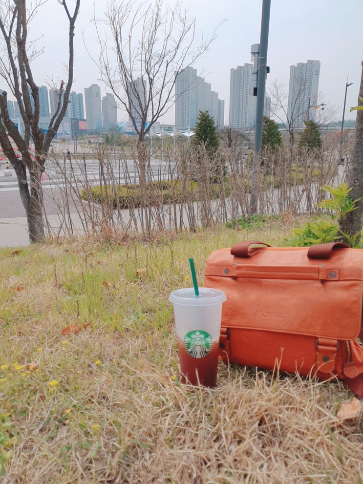  양주 가볼만한곳, 옥정호수공원과 도서관+헬스장+수영장~ 나들이로 딱!