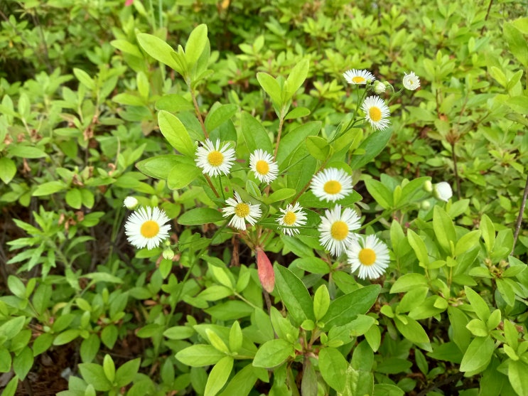 함께 어울리며 살아요