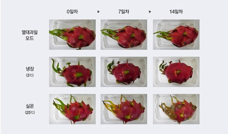  위니아 딤채 스탠드형 도어포켓 김치냉장고 SDT41EFRZDT 412L