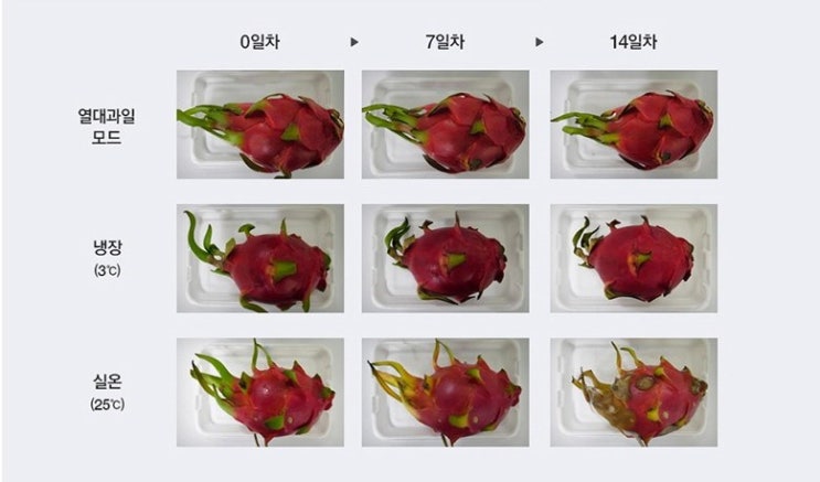 위니아 딤채 스탠드형 도어포켓 김치냉장고 SDT41EFRZDT 412L