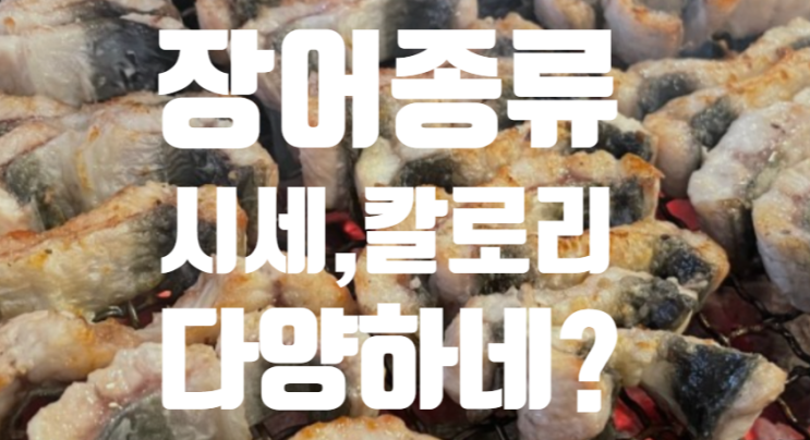  <장어종류 바다장어민물장어 칼로리 효능 자양강장 정복!>