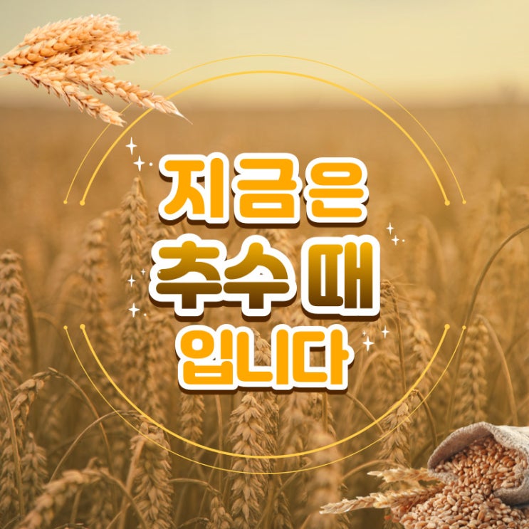  신천지에서 전하는 추수소식, 지금은 추수 때