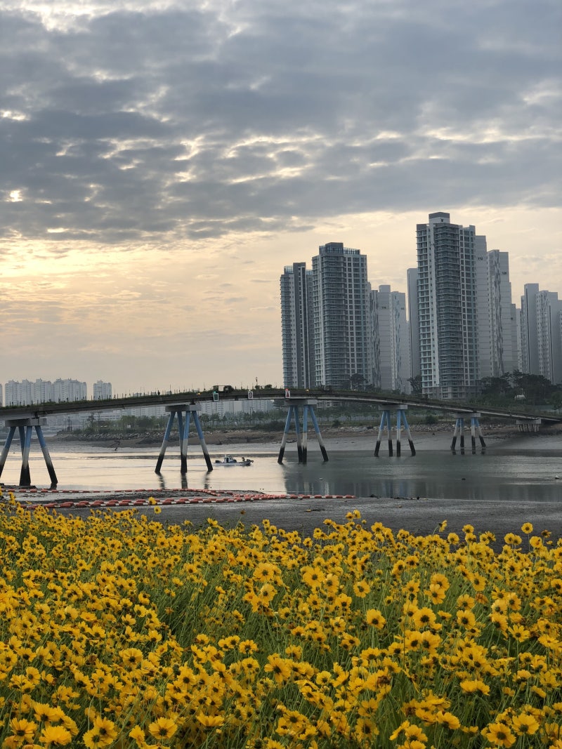 2021.06 환진로그 반틈 <1> : 네이버 블로그