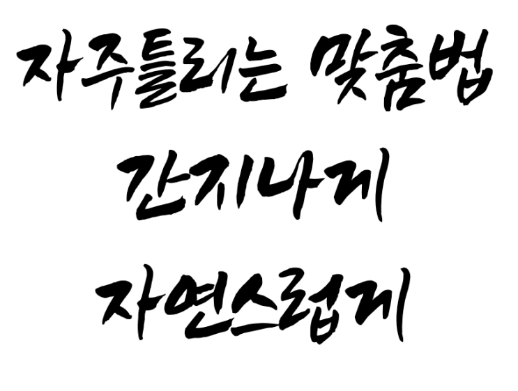  <많이 틀리는 자주 틀리는 맞춤법 레전드 꼭 알아서 자신있게>