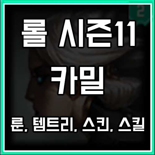 롤 시즌11 카밀 룬, 템트리, 스킨 공략