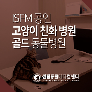  센텀동물메디컬센터 ISFM 공인 고양이 친화 병원 골드 등급 / 부산 전문진료 동물병원