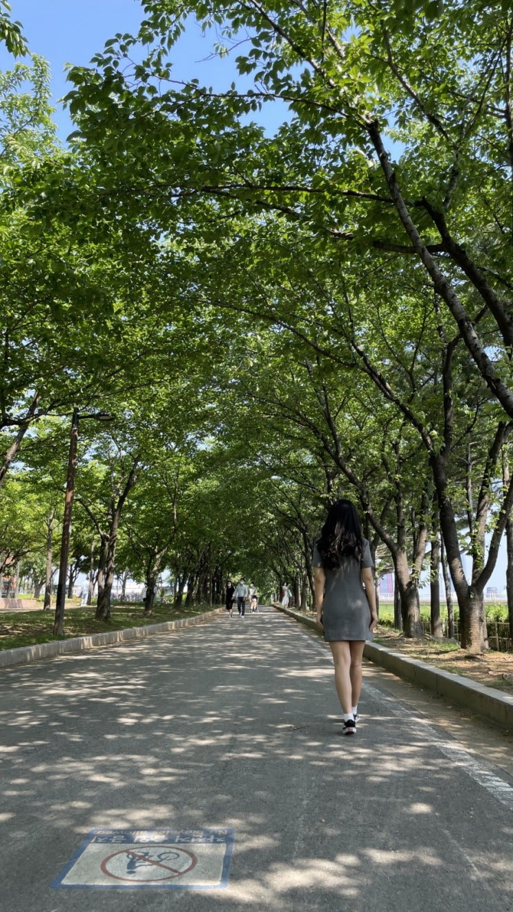  [오늘일기 #마지막] 일기를 쓰는 것
