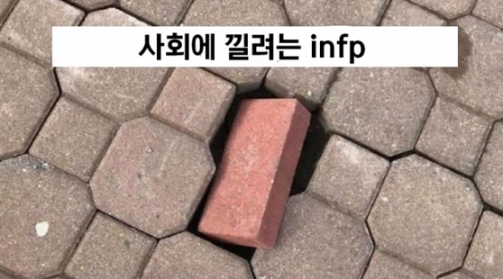  INFP특징,팩폭,빙고,연애,궁합