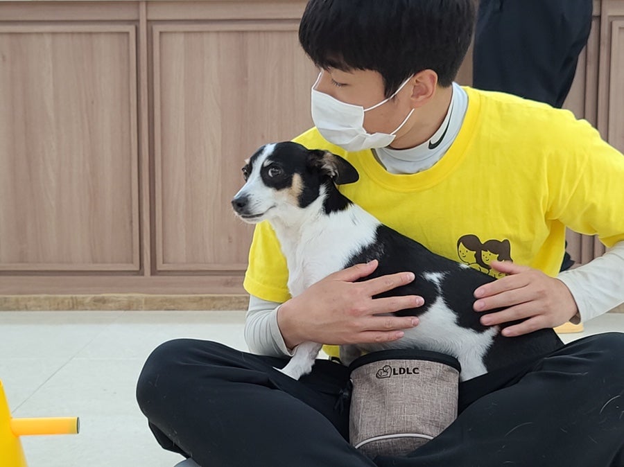 위드티쳐 사진 5