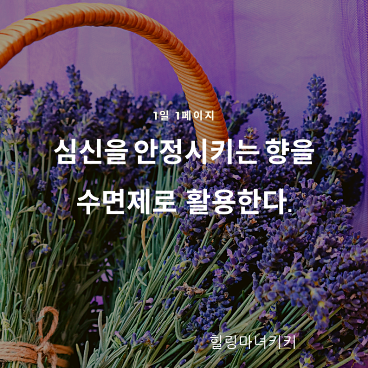  1일 1페이지 ㅡ 73일 라벤더 향기를 맡는다