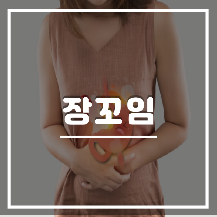  장이 꼬였을때 장꼬임 증상 : 배와 장이 꼬이는 느낌이 들 때 해결책