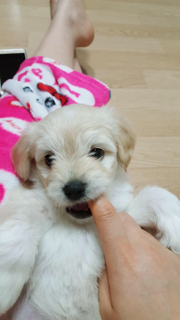 미라클 모닝 D+13
