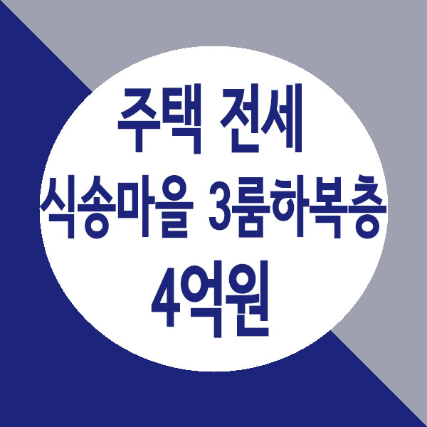  별내 식송마을 신축 단독 다가구 주택 전세, 3룸 하복층 전세