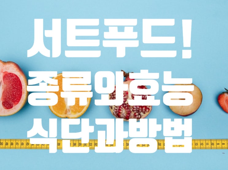  서트푸드 종류 다이어트 식단 아델도 45kg감량한 그 방법은??