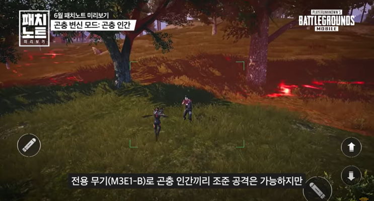  [배틀그라운드 모바일] 6월 업데이트 '곤충 변신 모드'와 '격납고'