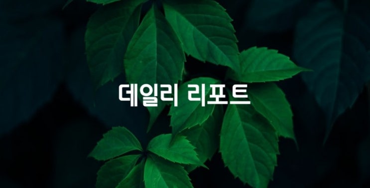 생각하는 데로 살 것인가! 사는 데로 생각할 것인가! /  데일리 리포트