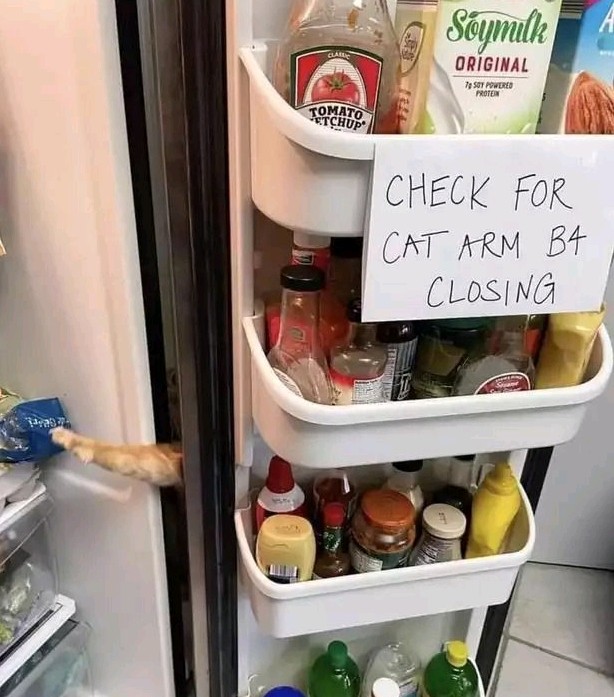 냉장고 닫기 전에 꼭 확인해