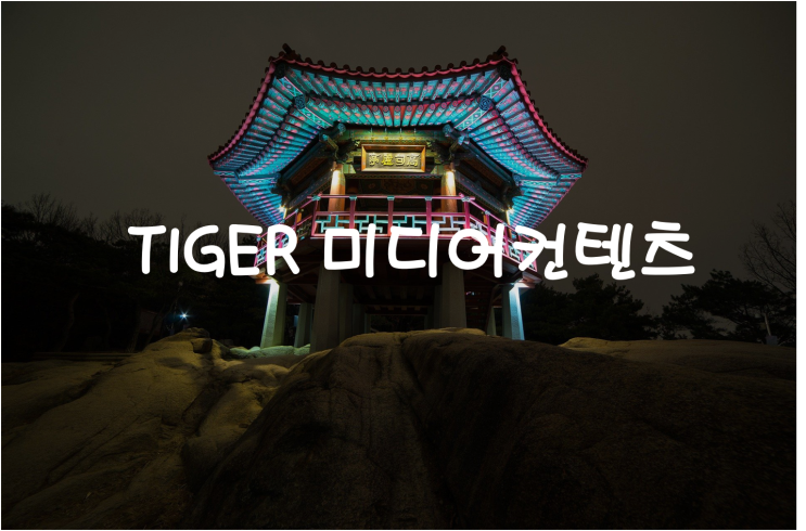  [국내 ETF] 대표 미디어 기업들에 투자하는 TIGER 미디어컨텐츠