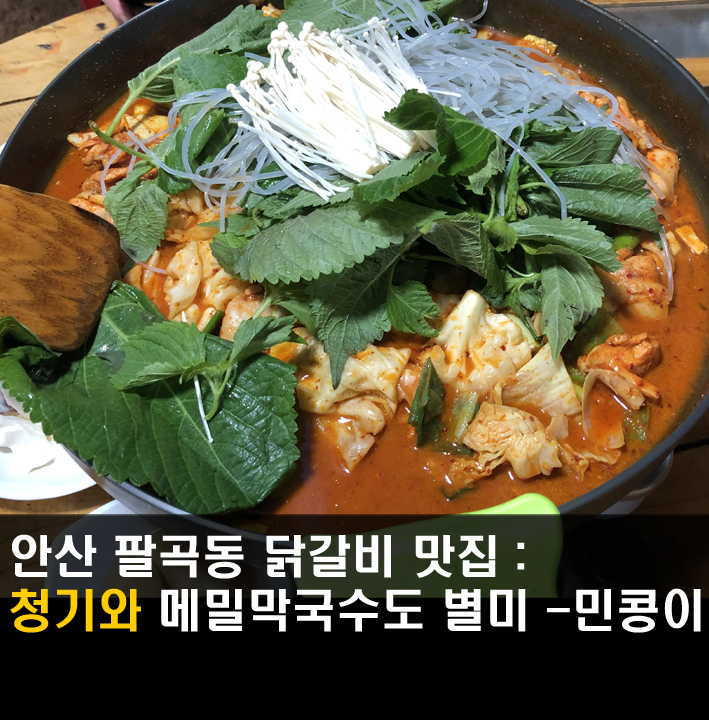  [안산/청기와] 반월저수지 맛집, 푸짐하고 매콤한 닭갈비에 시원한 메밀막국수