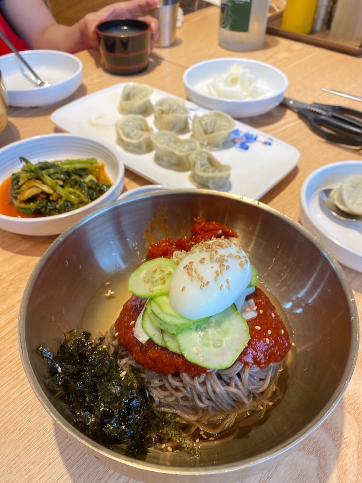 [김포고촌맛집] 쫄깃한 면발이 살아있는 고촌막국수 맛집, 메밀면장