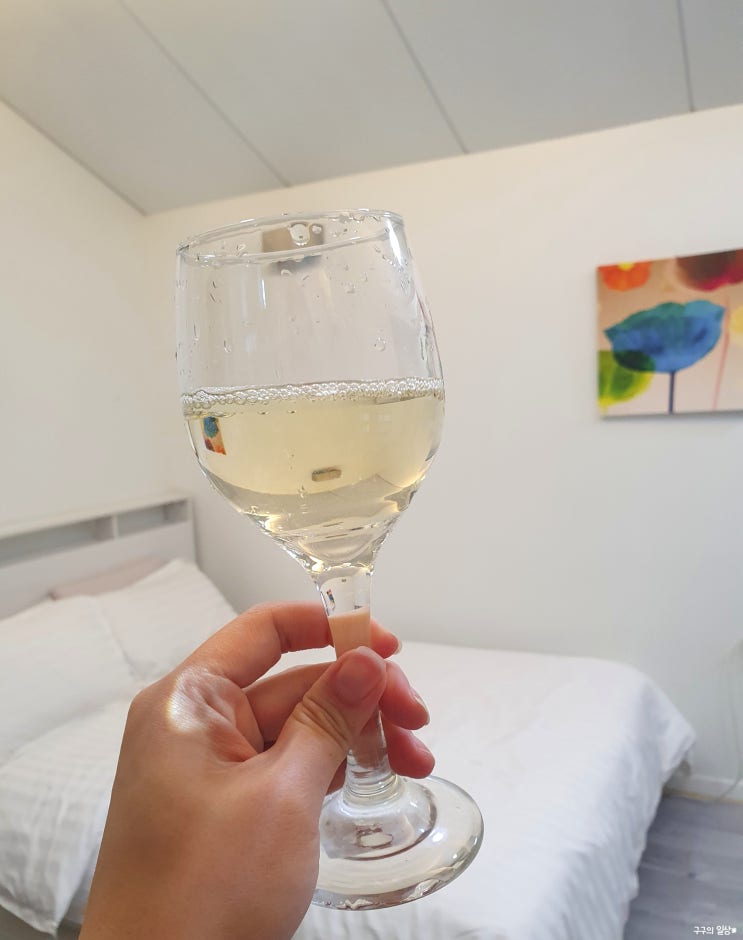  가성비 만족했던 화이트 와인 추천 :: 몬테스 와인메이커스 초이스 소비뇽블랑(MONTES Winemaker's Choice Sauvignon Blanc)