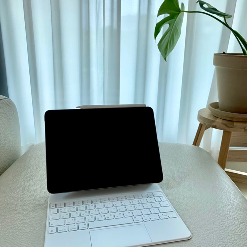 애플 아이패드 프로 11인치 3세대 스페이스그레이 512GB Wi-Fi