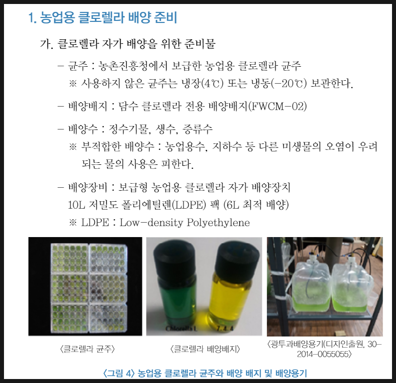 클로렐라와 같은 녹조류는 비타민 6