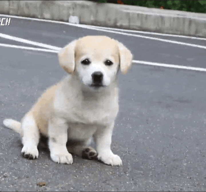 안녕하세요 화이트팬 입니다.