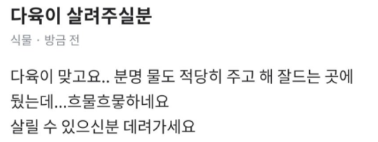  화타가 와도 이건 못 살리네
