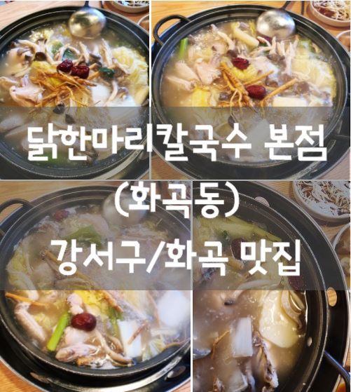  화곡맛집 [닭한마리칼국수] 한방닭한마리 풀코스 제대로!