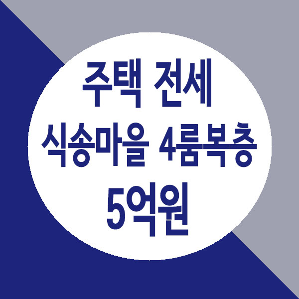  남양주 별내 식송마을 신축 단독 다가구 주택 4룸 복층 전세