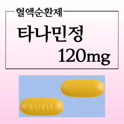  타나민정 120mg 효능과 복용법 가격정보 확인하고 혈액순환제 복용하세요