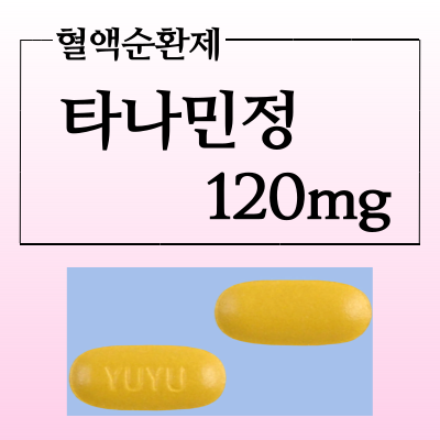 타나민정 120mg 효능과 복용법 가격정보 확인하고 혈액순환제 복용하세요