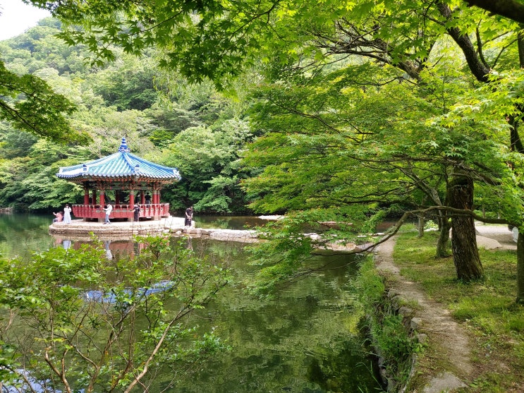  힐링 여행 주말 나들이 내장산 백련암 ~ 내장사