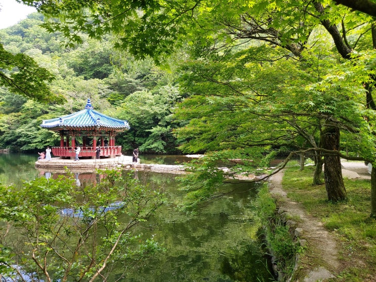 힐링 여행 주말 나들이 내장산 백련암 ~ 내장사