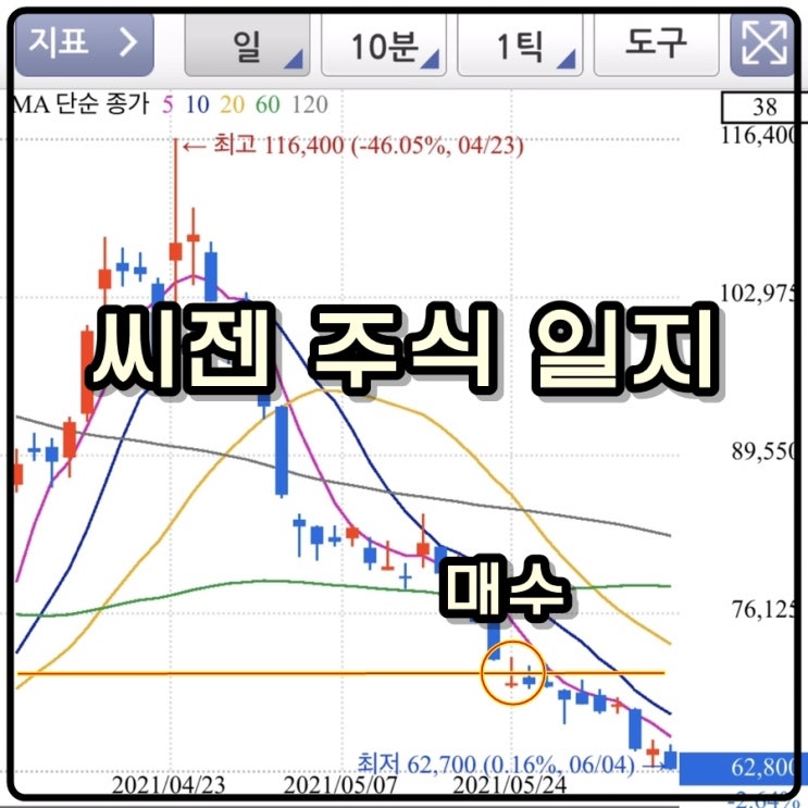  [미자의 주식일기] 씨젠 매수
