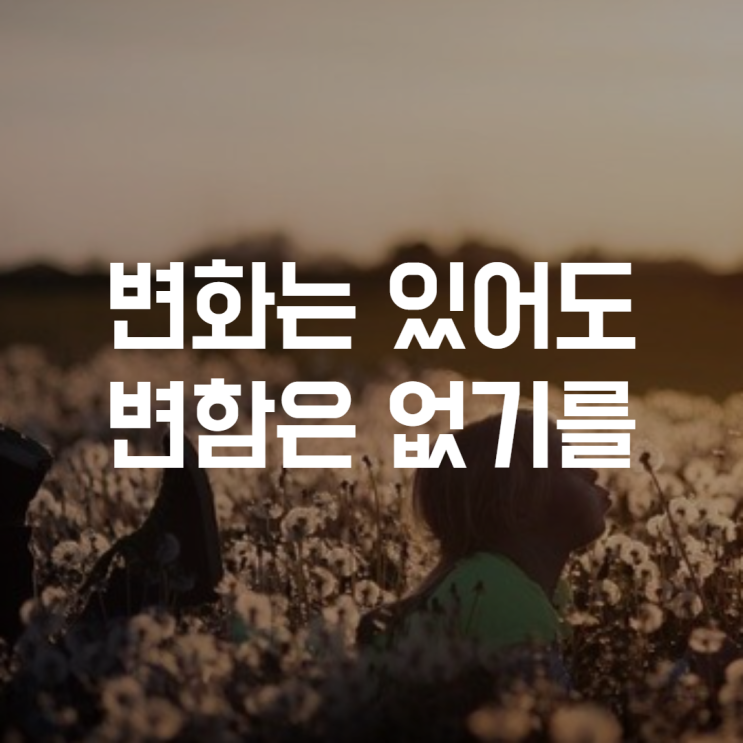  변화는 있어도 변함은 없기를 바라는 검은말웁쯔의 하루