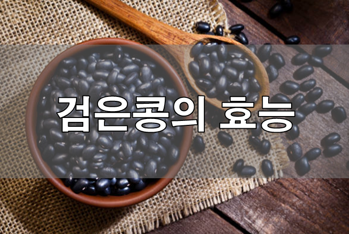  검은콩의 효능