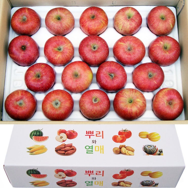 잘팔리는 뿌리와열매 청송 꿀 부사 사과 가정용 흠과 흠집 쥬스용 5kg 10kg 대과 중과 소과 설 추석 어버이날 선물 세트 제사용 제수용, 1개, 선택3. 가정용흠과 16-18과 잘팔리는 뿌리와열매 청송 꿀 부사 사과 가정용 흠과 흠집 쥬스용 5kg 10kg 대과 중과 소과 설 추석 어버이날 선물 세트 제사용 제수용, 1개, 선택3. 가정용흠과 16-18과