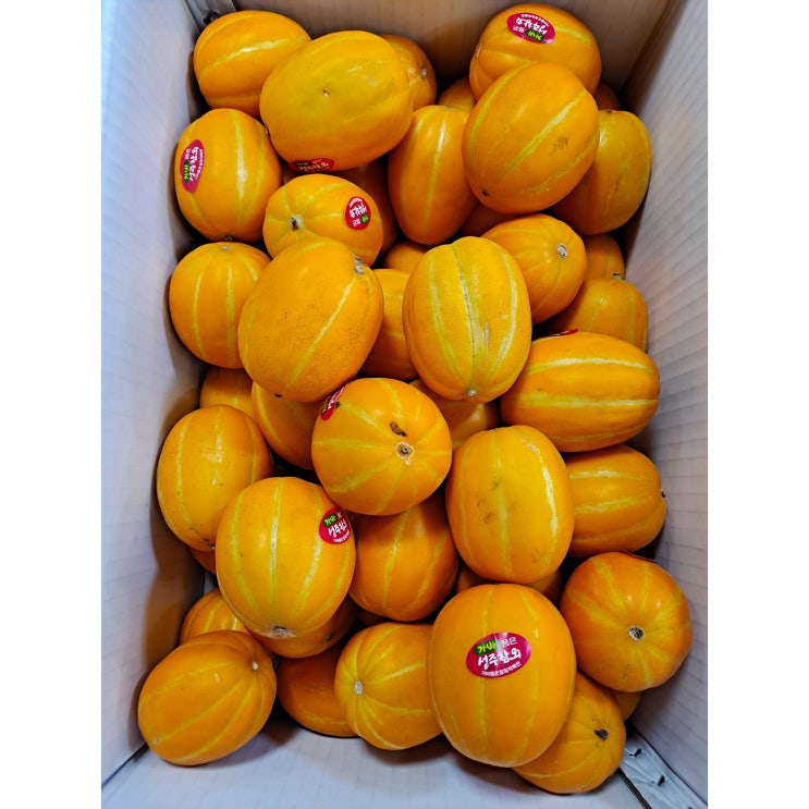 요즘 인기있는 가정용 못난이 성주참외 2.5kg 5kg 문자 문의 후 리뷰를 달아 주세요, 못난이 참외 랜덤 2.5kg 좋아요 요즘 인기있는 가정용 못난이 성주참외 2.5kg 5kg 문자 문의 후 리뷰를 달아 주세요, 못난이 참외 랜덤 2.5kg 좋아요