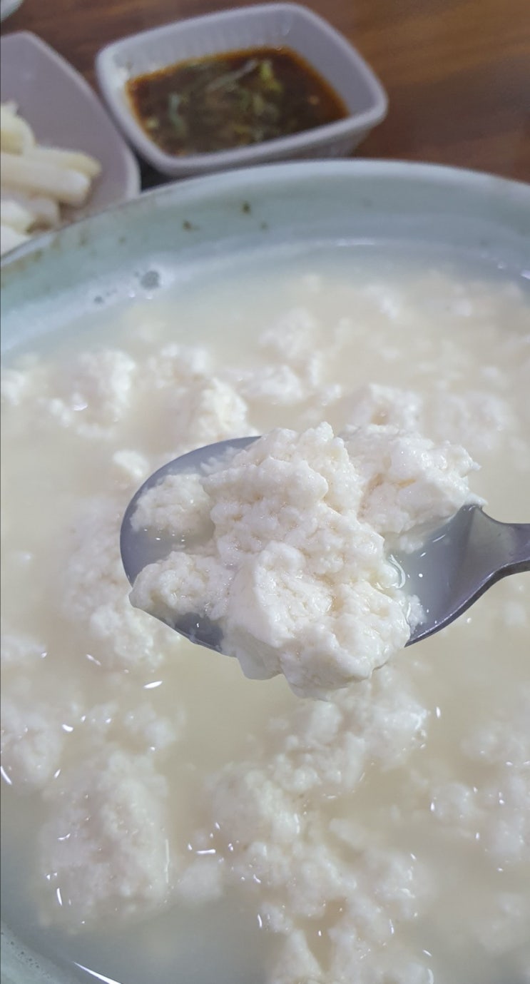  춘천맛집 소양 손두부 추천