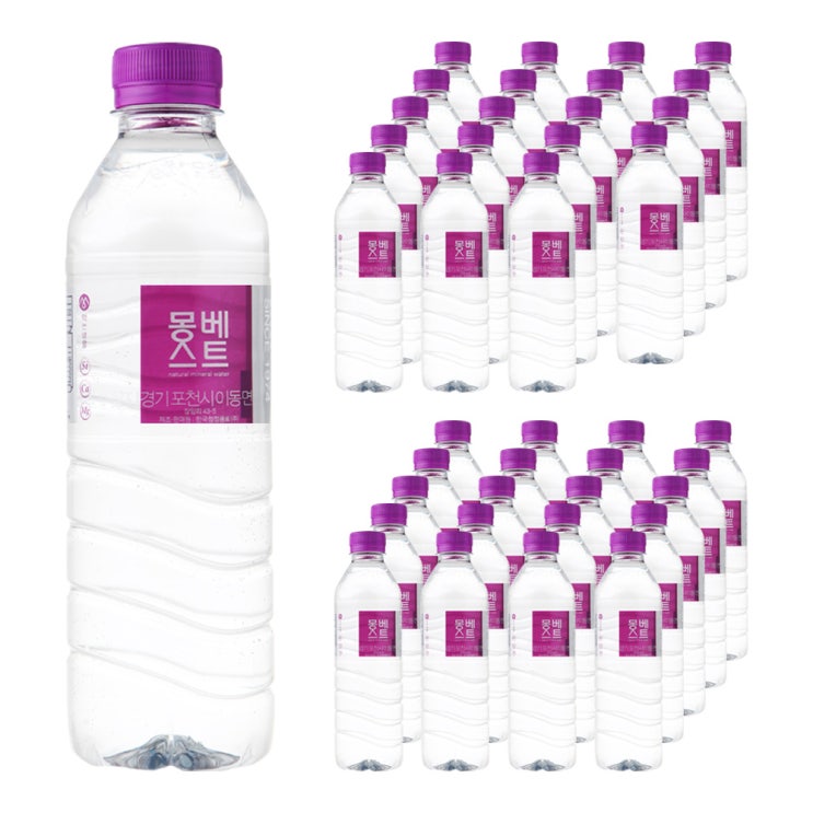 당신만 모르는 몽베스트 생수, 500ml, 40개 좋아요