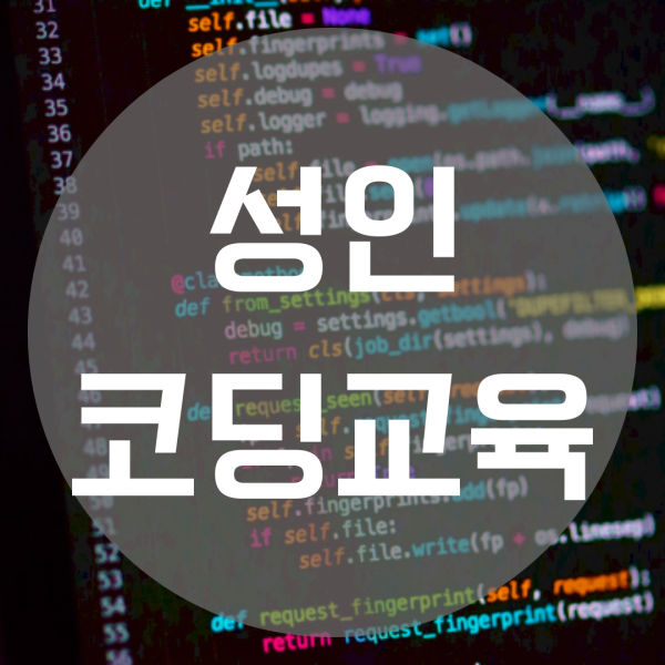  성인코딩교육 이직 / 취업 을 위한 준비는?