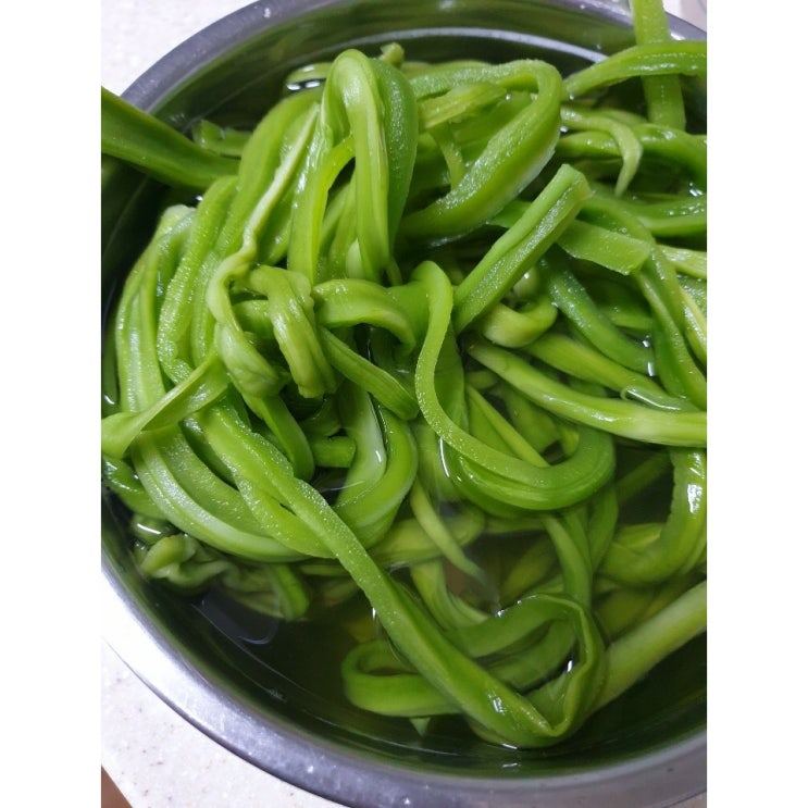 많이 팔린 손질 궁채 궁채나물 뚱채 상추대나물 1.5kg 나물 상추대 산상추 줄기상추 마른 장아찌 추천해요 많이 팔린 손질 궁채 궁채나물 뚱채 상추대나물 1.5kg 나물 상추대 산상추 줄기상추 마른 장아찌 추천해요