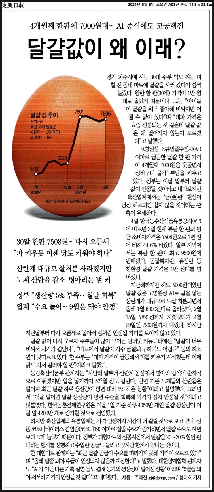 월천대사012의 토요일 신문뉴스 이야기