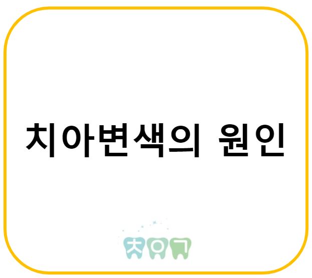  치아변색의 원인